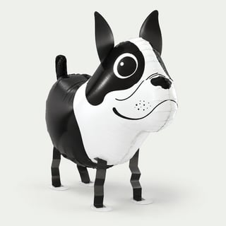 Meeloop ballon hond