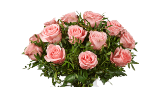 Rozen