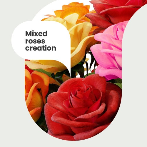 Mixed roses creation small