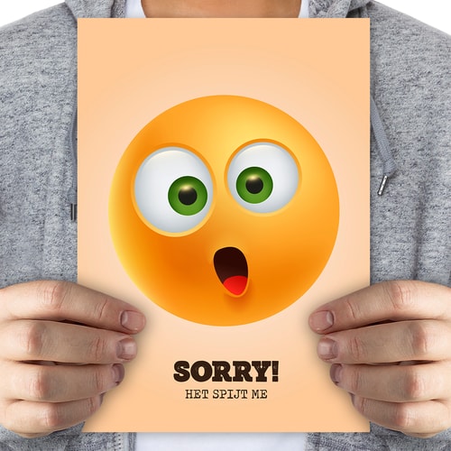 Sorry! Het spijt me - mega