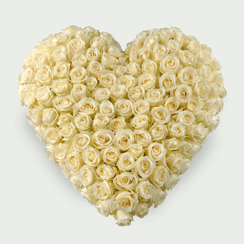 Serein coeur blanc - 55 cm